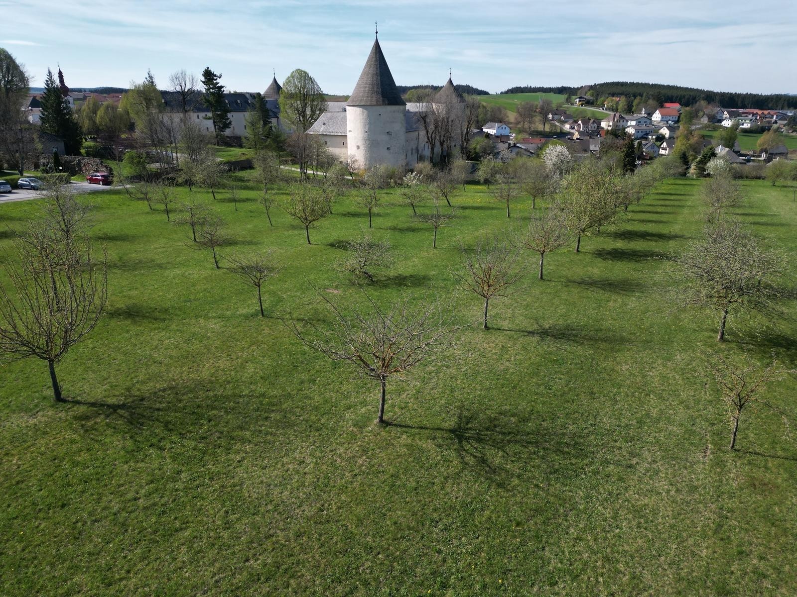 Ein Bild der Campingwiese. Auf dieser stehen zahlreiche in Reihen aufgestellte Apfelbäume. Im Hintergrund ist das Schloss zu sehen.